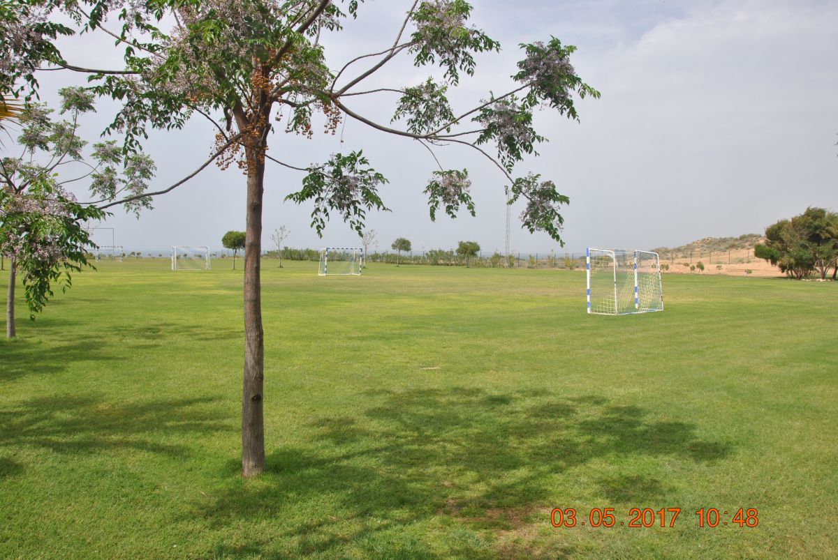 imagini hotel JACARANDA IMPERIAL SIDE